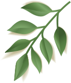 elements summer sale banner nk5w2va leaf 2